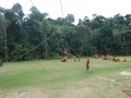 Tn DSC 6411